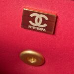 Chanel 23S Camellia Adjustable Clasp Bag – Medium (AS4041)