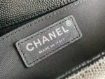 Chanel Le Boy Bag – Medium Size (Caviar Leather / Platinum Edition)