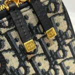 Dior Premium Embroidered Camera Bag