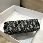 Dior Premium Embroidered Camera Bag