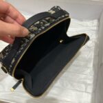 Dior Premium Embroidered Camera Bag