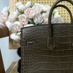 HERMES Birkin 25cm | Matte HCP American Alligator Belly | Gold Hardware