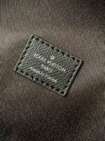 Louis Vuitton Apollo Backpack