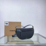 P650 – BALENCIAGA Latest Runway Shoulder Bag